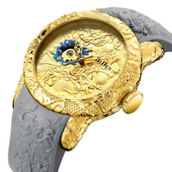 Biden Business Men&apos;s High-end Waterproof Mechanical Watch - gold,grey