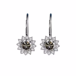 Bague Ringen Sterling Silver 925 Earrings For Women 1 Carat Vvs Moissanite Wedding Luxury Jewelry Classic Sunflower Drop-earrings - white, 1ct*2