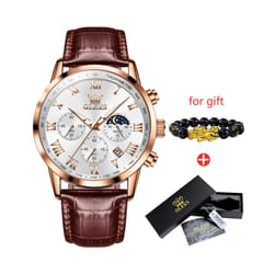 Men's Watches Brown Leather Classic Analog Quartz Watch for Man 3ATM Waterproof Wrist Watch Multifunction Chronograph - ZPMB