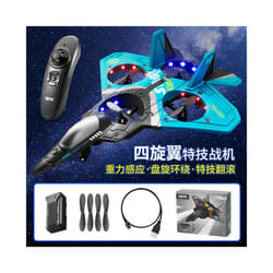 V17 RC Remote Control Airplane 2.4G Remote Control Fighter Hobby Plane - V17-Blue-1 Battery