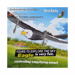 2.4Ghz 2CH RC Aircraft Remote Control Fixed Wing Eagle EPP Foam Glider - 1 battery Set