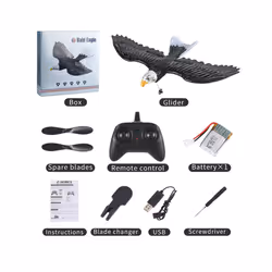2023 New Dual Channel 2.4G Z59 Glider RC Airplane with Eagle Style Remote - China, 1B