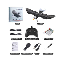 2023 New Dual Channel 2.4G Z59 Glider RC Airplane with Eagle Style Remote - China, 1B
