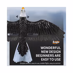 2023 New Dual Channel 2.4G Z59 Glider RC Airplane with Eagle Style Remote - China, 1B