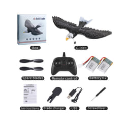 2023 New Dual Channel 2.4G Z59 Glider RC Airplane with Eagle Style Remote - China, 2B