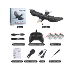 2023 New Dual Channel 2.4G Z59 Glider RC Airplane with Eagle Style Remote - China, 3B