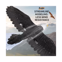 2023 New Dual Channel 2.4G Z59 Glider RC Airplane with Eagle Style Remote - China, 3B