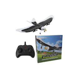 RC Plane Wingspan Eagle Bionic Aircraft Fighter 2.4G Radio Remote Control - Fx651-laoying