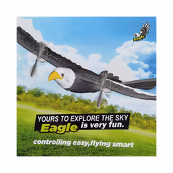 RC Plane Wingspan Eagle Aircraft Fighter 2.4G Radio Control Remote Control - Fx651-laoying