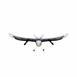 RC Plane Wingspan Eagle Aircraft Fighter 2.4G Radio Control Remote Control - Fx651-laoying