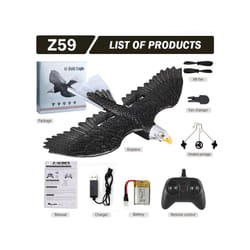 RC Airplane Simulation Wingspan Eagle Aircraft 2.4G Radio Control Remote - Eagle 1B