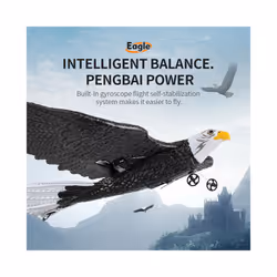 RC Airplane Simulation Wingspan Eagle Aircraft 2.4G Radio Control Remote - Eagle 1B