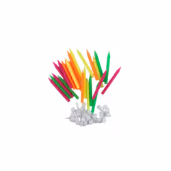 Alpen Birthday Candles with Holders (24pk) (Neon)