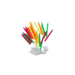 Alpen Birthday Candles with Holders (24pk) (Neon)