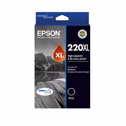 Epson C13T294192, High (XL) Yield, Black, Pigment-based ink, 220 pages
