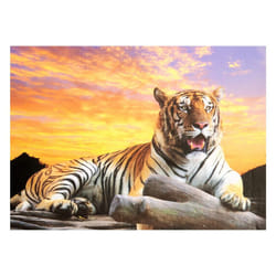 Tiger at Sunset 1000 Piece Puzzle for Adults & Kids | 27 x 20 Inch Jigsaw Puzzles Game with Extra Thick Pieces That Fit Together Easily | Made from Re