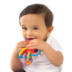 Playgro 1217850000 rattle