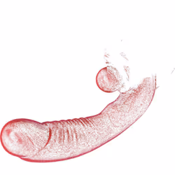 20 Modes Powerful Vaginal Dildo Vibrator for Female Clitoris G Spot Stimulator Erotic Masturbation Sex Toys Goods for Adults 18 - Red-no box