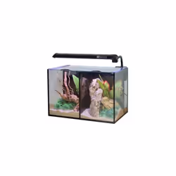 Aqua One Betta Duo Aquarium