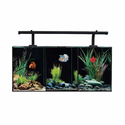 Aqua One Betta Trio Glass Aquarium