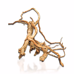 Aqua One Azalea Root - Aqua One Azalea Root 30 - 40cm