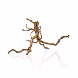 Aqua One Azalea Root - Aqua One Azalea Root 30 - 40cm