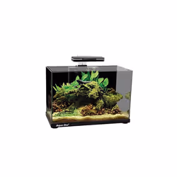 Aqua One Focus 36 Glass Aquarium 36L 50x25x36cm Black