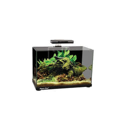 Aqua One Focus 36 Glass Aquarium 36L 50x25x36cm Black
