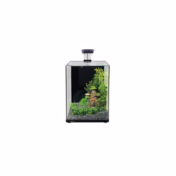 Aqua One Focus 23 Glass Aquarium 23L 30x22x41cm Black