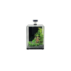 Aqua One Focus 23 Glass Aquarium 23L 30x22x41cm Black