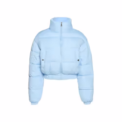 2024 Winter Coat for Women Keep Warm and Thick Jackets Blue Short Coat - L, Blue