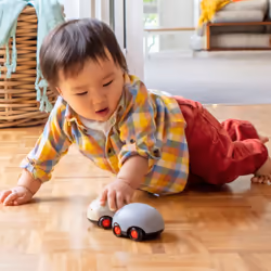 Tiger Tribe TT1006 play vehicle/play track