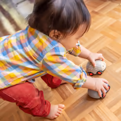 Tiger Tribe TT1006 play vehicle/play track