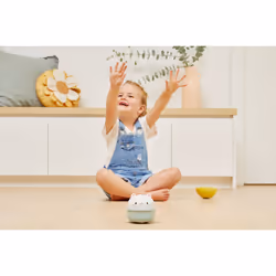 Tiger Tribe TT1019 learning toy