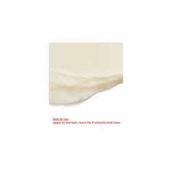 EVO Mane Attention Protein Treatment - Reconstructs, Repairs, & Strengthens Hair - 150ml / 5.1fl.oz