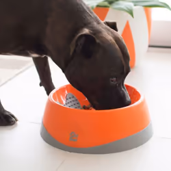LickiMat Oh Bowl Dog Pet feeding bowl