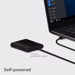 ALOGIC USB-C to Dual DisplayPort 2.0 Adapter-4K-30Hz - Additional view 7