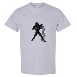 Aquarius Zodiac Horoscope Astrological Ganymede Hercules Men T Shirt Tee Top - Sport Grey, L