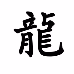Chinese Dragon Character Caligraphy Word Folk Art Ladies Women T Shirt Tee Top - Yellow, M