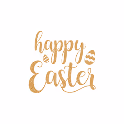 Gorgeous Happy Easter Egg Festival Gold Text White Men T Shirt Tee Top - S
