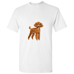 Brown Poodle Dog Cute Baby Puppy Pet White Men T Shirt Tee Top - 2XL