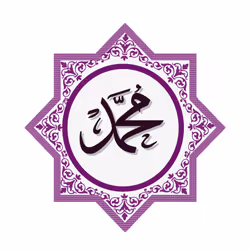 Muhammad Calligraphy Muslim Islamic Art White Ladies Women T Shirt Tee Top - M