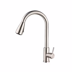 Brushed Nickel Kitchen Faucet Single Hole Pull Out Spout Kitchen Sink - silver