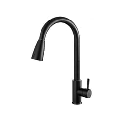 Brushed Nickel Kitchen Faucet Single Hole Pull Out Spout Kitchen Sink - black