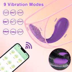 Sex Toys Bluetooth Female Vibrator Egg APP Control G Spot Stimulator  Dildo Vibrating Vagina Balls Adult Goods for Women Pantie - TD042-APP-RD-BOX-JIT