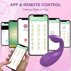 Sex Toys Bluetooth Female Vibrator Egg APP Control G Spot Stimulator  Dildo Vibrating Vagina Balls Adult Goods for Women Panties - TD042-APP-PU-JIT