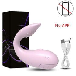 Sex Toys Bluetooth Female Vibrator Egg APP Control G Spot Stimulator  Dildo Vibrating Vagina Balls Adult Goods for Women Panties - TD042-PK-BOX-JIT