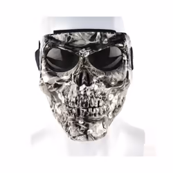 Cool skull motorcycle face Mask with Goggles Detachable modular Goggles - sifter