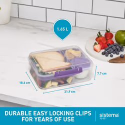 TO GO Bento Lunch Box | 1.65 L | School Lunch Box With Compartments & Snack Pot | BPA-Free | 1 Count | Misty Purple