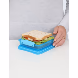 Sistema 31646 food storage container Square 0.45 L Blue 1 pc(s)